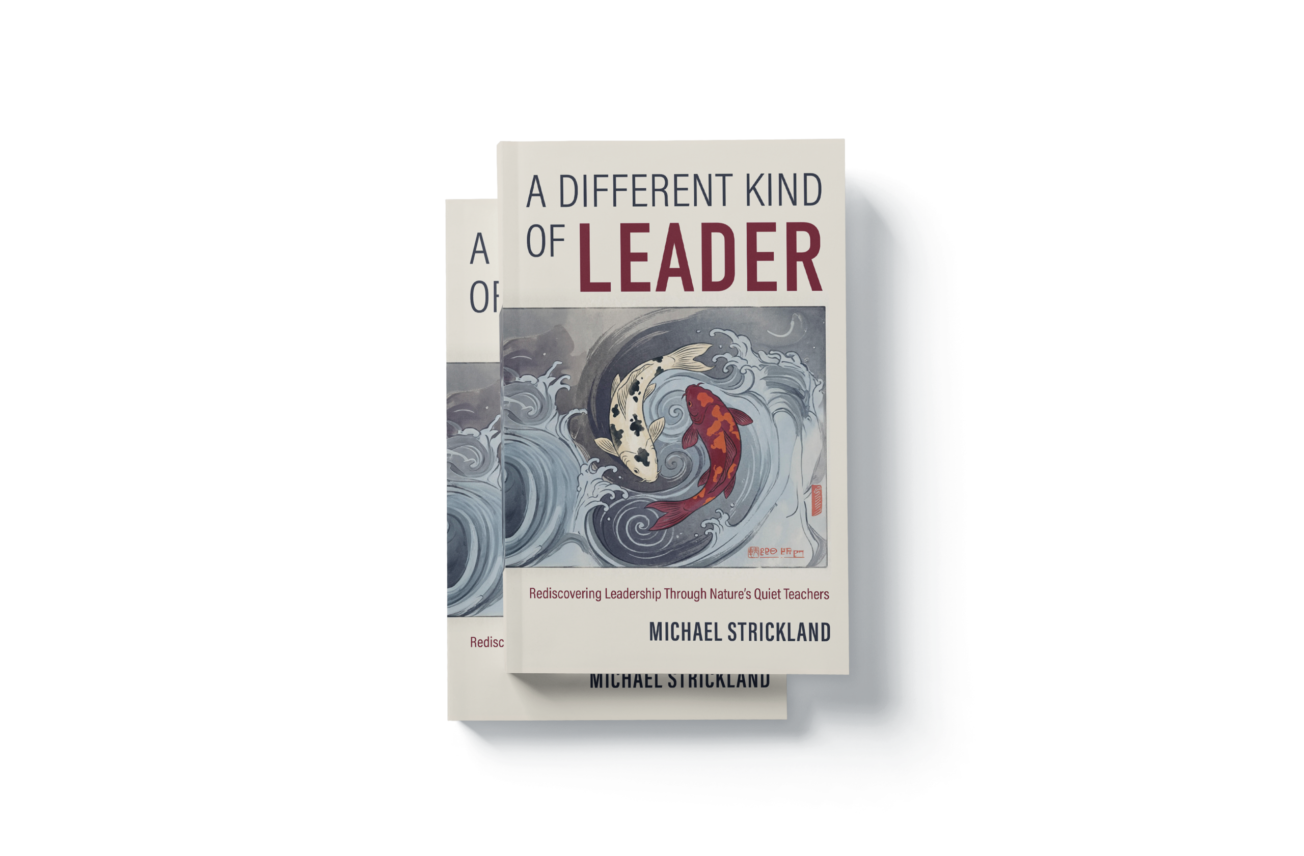 A Different Kind of Leader book cover